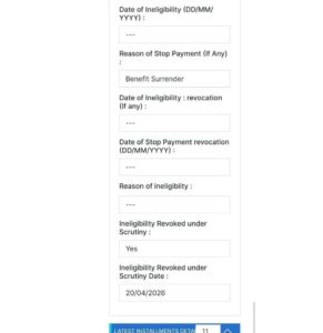 Incomplete identity of previous owners details in hindi